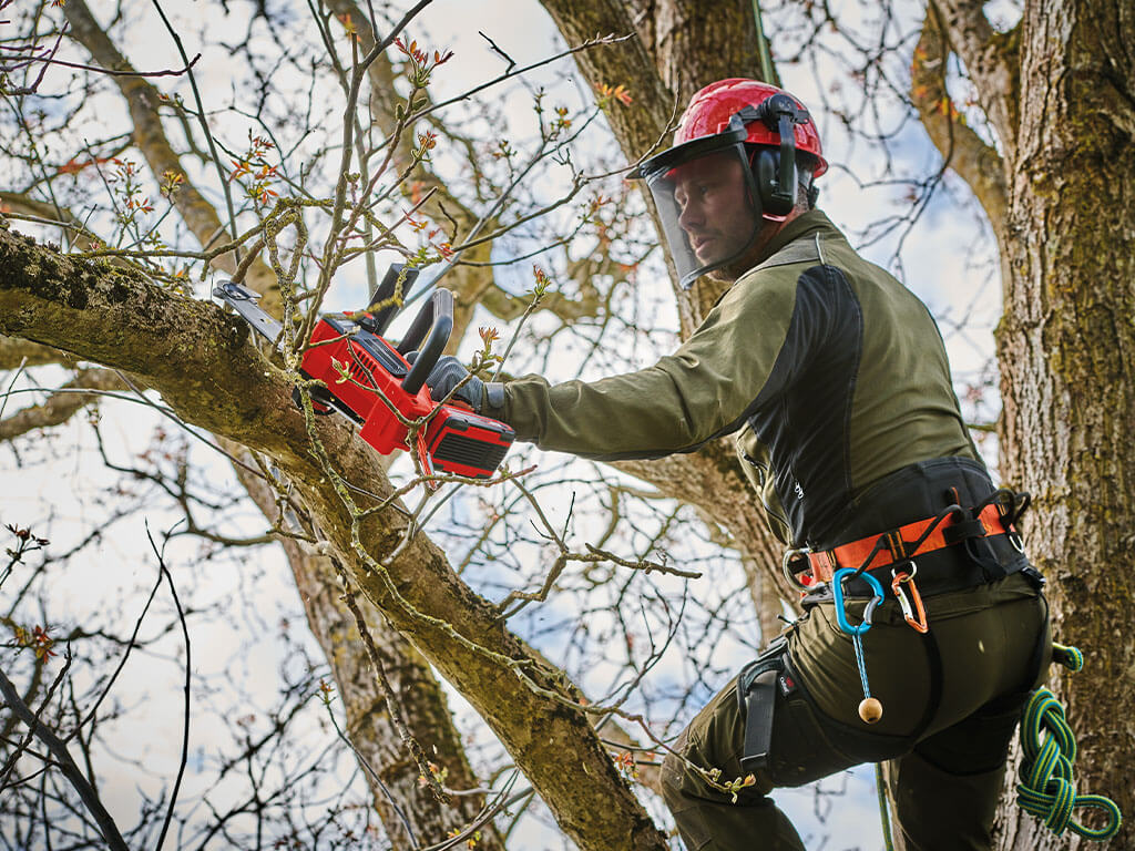 A man does tree maintenance work with the Einhell top-handled chainsaw.