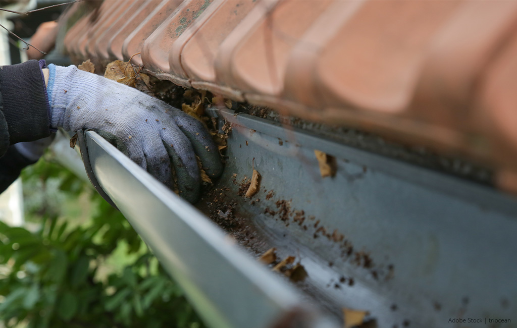 A person wearing gloves removes leaves and debris from a gutter.