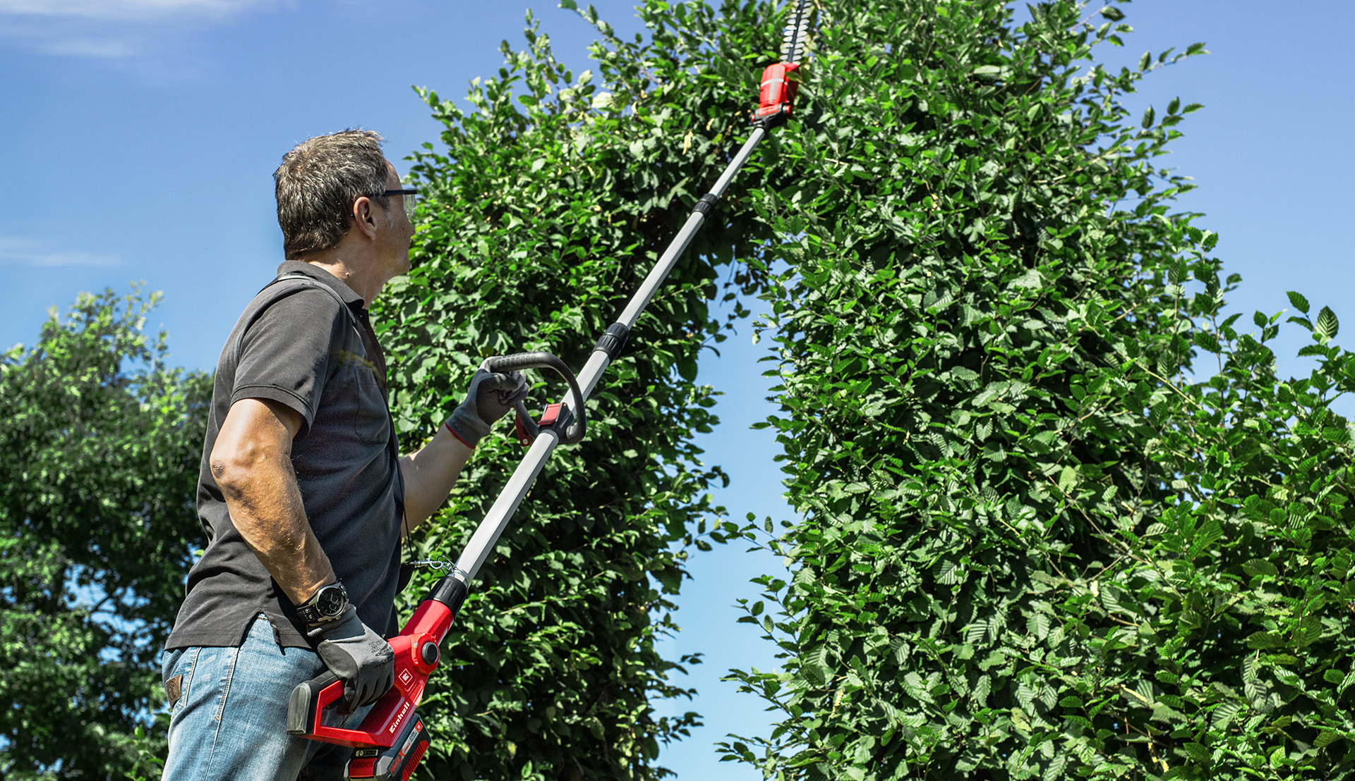 Telescopic hedge trimmers can be used to get to hard-to-reach areas throughout the garden.