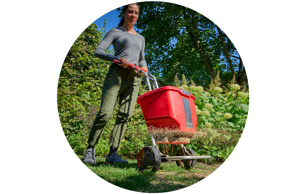 A woman fertilises the lawn with the Einhell cordless multi purpose spreader spreader