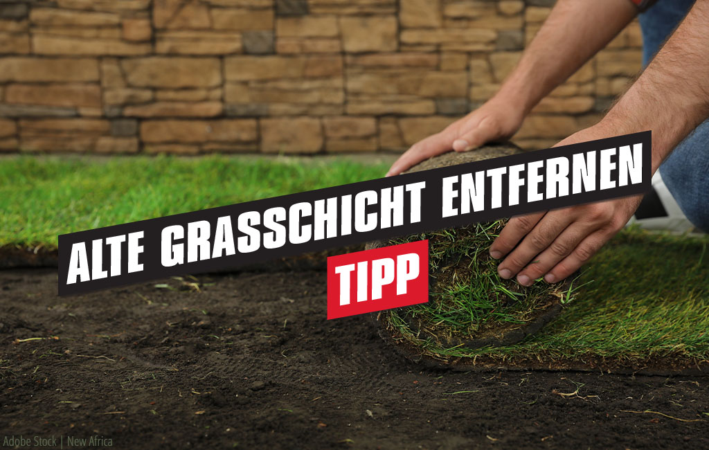 Rollrasen wird eingerollt. Text im Vorgerund: Alte Grasschicht entfernen - Tipp