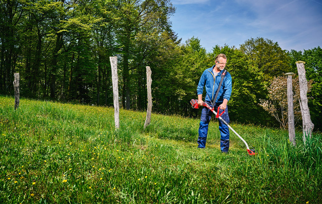 Ein Mann trimmt eine Wiese mit einem roten Einhell-Rasentrimmer, umgeben von hohen Bäumen und vereinzelten Holzpfählen.