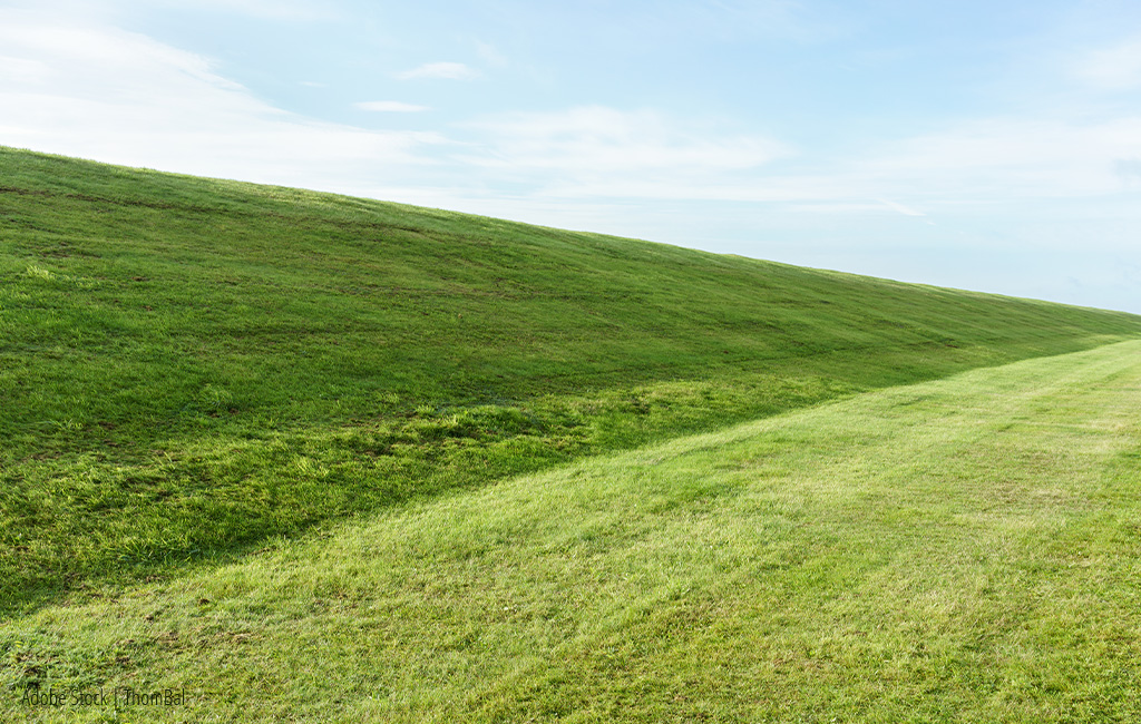 A sloping, freshly mowed lawn against a blue sky.