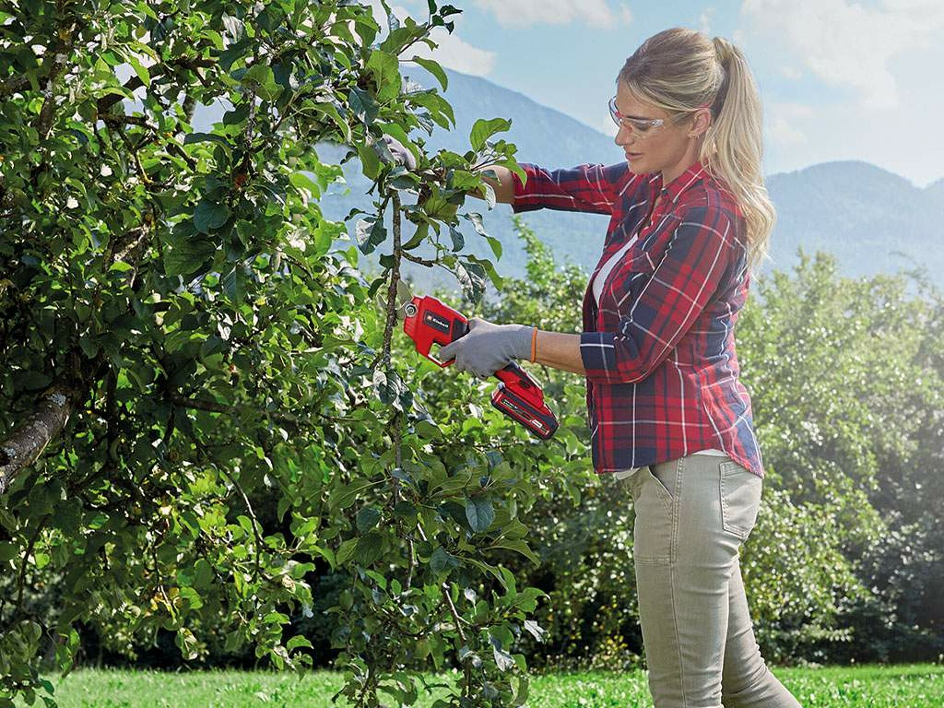 a woman cuts a branch with the branch shears