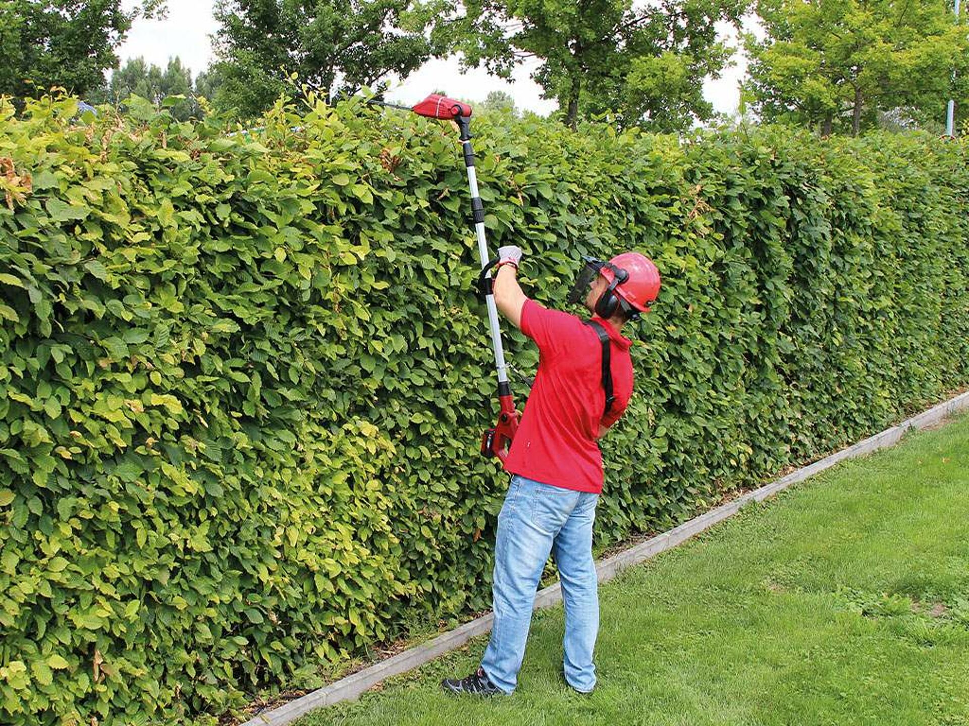 a man cuts his hedge with a retractable hedge trimmer