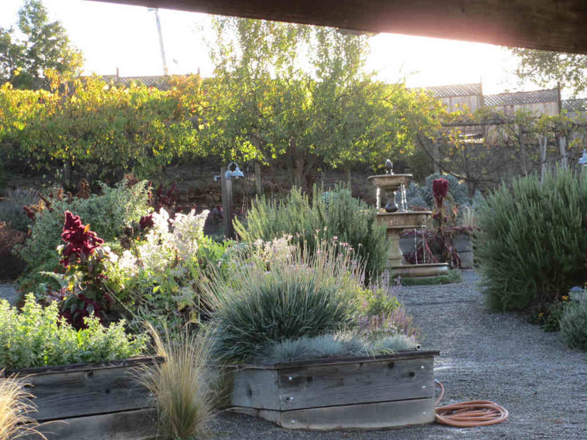 garden with many flower beds