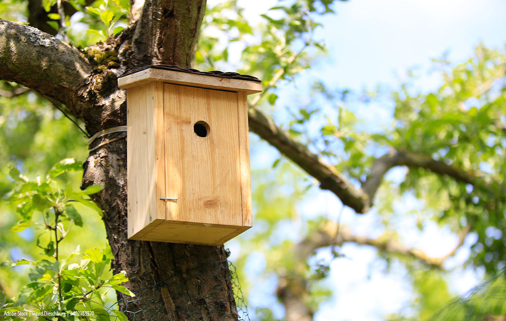 A birdhouse hanging against a tree.