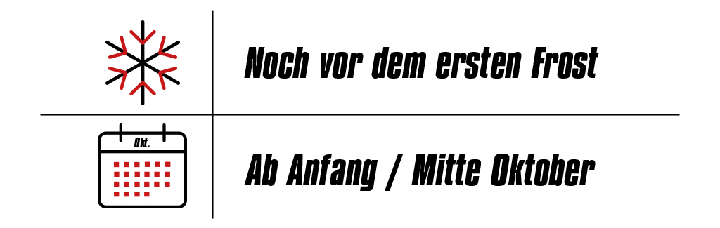 Eine Grafik zeigt ein Schneeflocken- und Kalender-Symbol mit den Texten "Noch vor dem ersten Frost" und "Ab Anfang / Mitte Oktober.