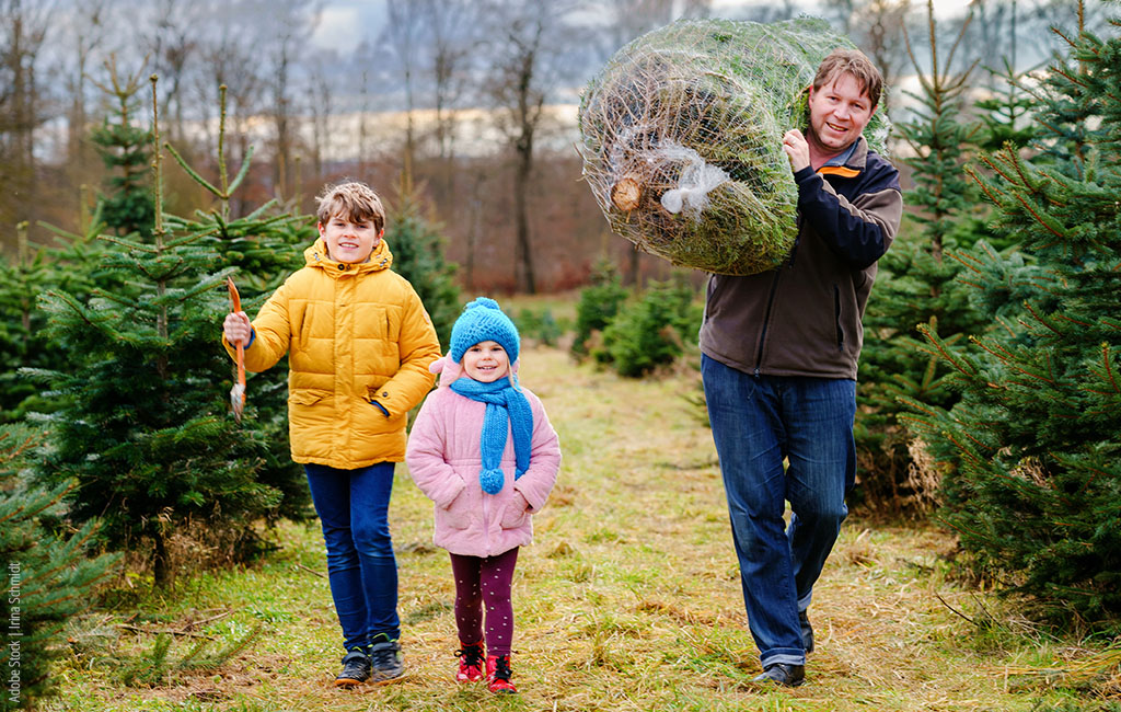 Father with two children carrying a self-cut Christmas tree