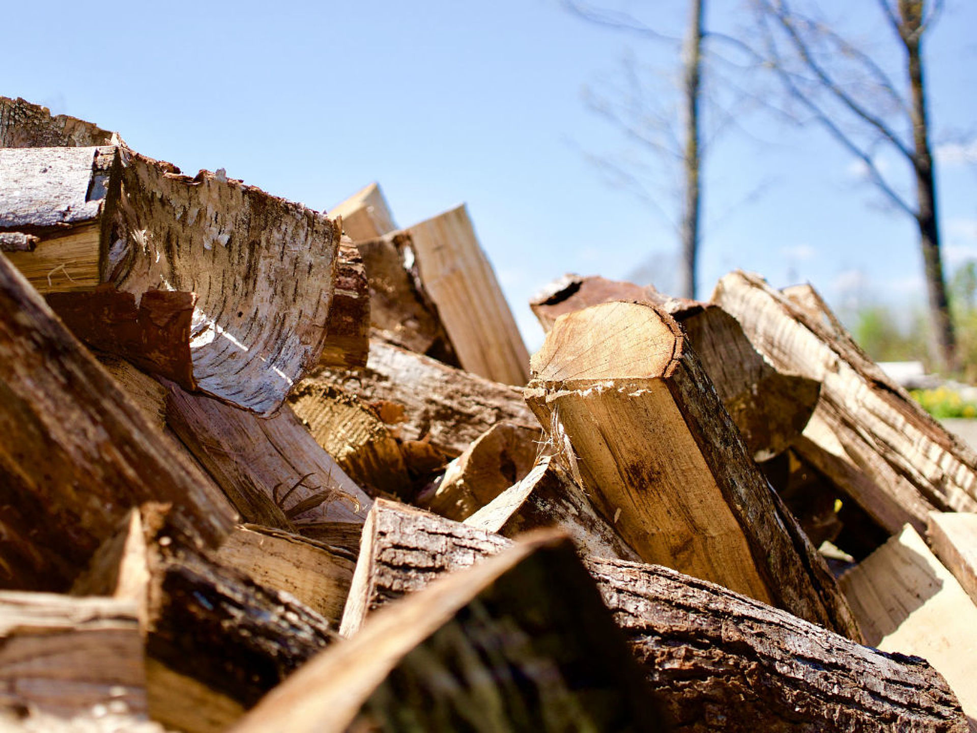 wood pile