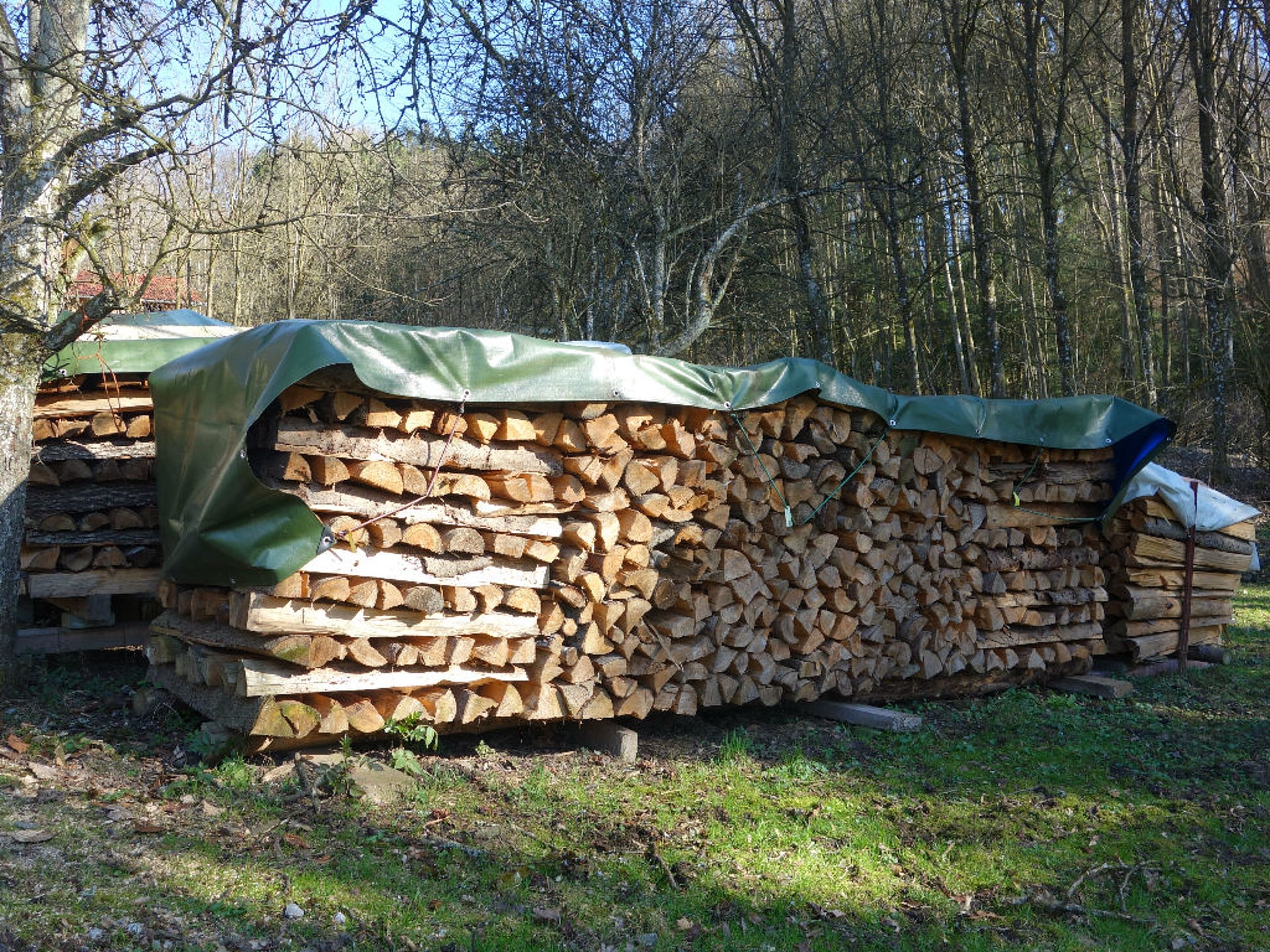 wood pile covered with tarpaulin